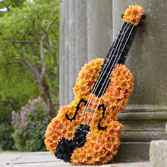 Letters & Specialist Tributes